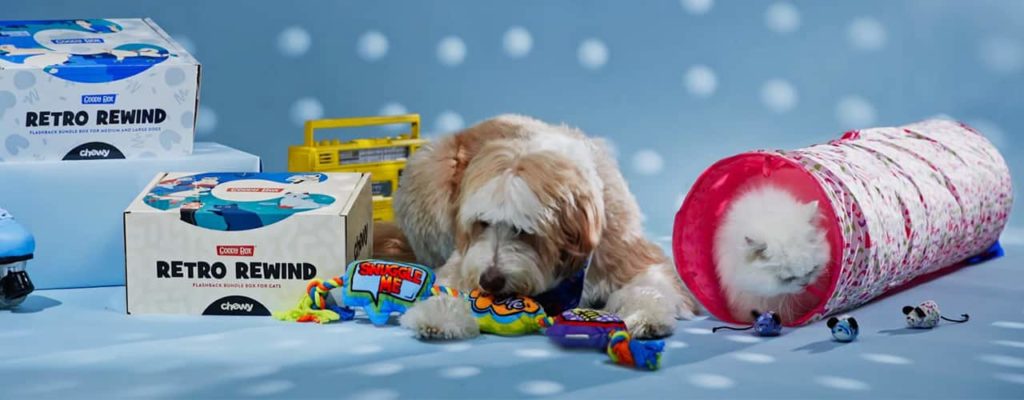 shaggy dog and small fluffy cat investigate their new toys they got rfom Chewy bundled discounts