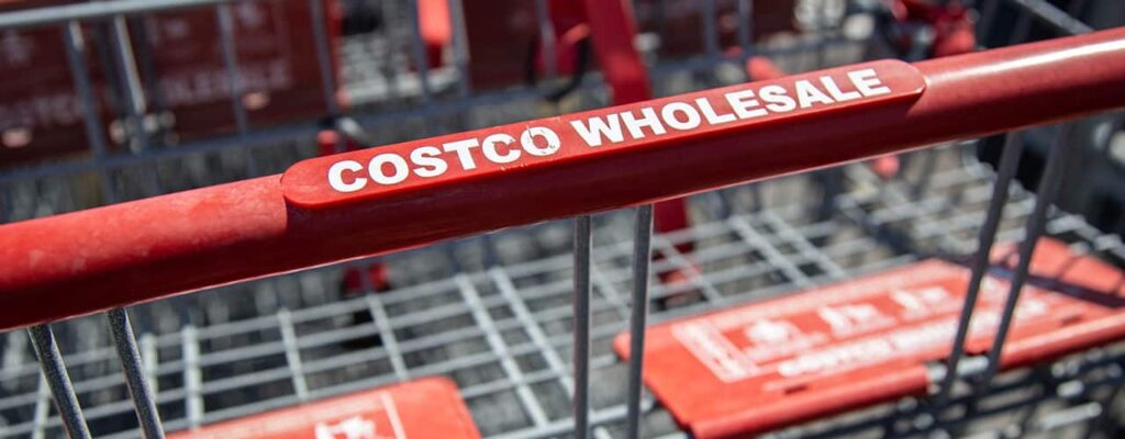 Costco Shopping Cart