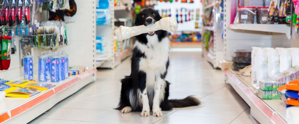 dog holding a giant bone in the shopping aisle